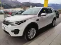 LAND ROVER Discovery Sport 2.0 Td4 4Wd Se Auto