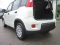FIAT Panda 1.0 Hybrid 70 Cv Km0