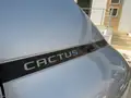 CITROEN C4 Cactus Bluehdi 100 S&S Feel Edition