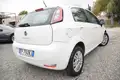 FIAT Punto Automatica 1.4 77Cv Bt Cerchi Bizona Ok Neopatenta