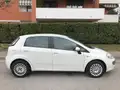 FIAT Punto Evo Punto Evo 5P 1.3 Mjt Dynamic S