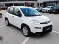 FIAT Panda 1.0 Firefly S&S Hybrid Km Zero!