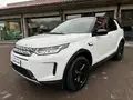 LAND ROVER Discovery Sport Discovery Sport 2.0D I4 Mhev S Awd 150Cv Auto