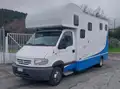 RENAULT Master Camion Trasporto Cavalli Con Living