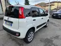 FIAT Panda 4X4 - Autocarro 2 Posti N1 -