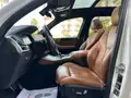 BMW X5 Xdrive 30D M-Sport (Tetto/Pelle/App/Led)