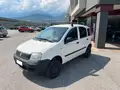 FIAT Panda 1.3 Mjt 69Cv 4X4  Van Per Commercianti