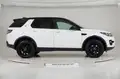 LAND ROVER Discovery Sport 2.0 Td4 Hse Luxury Awd 150Cv Auto My18