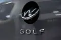 VOLKSWAGEN Golf Golf 2.0 Tdi Active 150Cv Dsg Iq-Tetto Apr.-Matrix