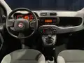 FIAT Panda 1.0 Firefly Hybrid S&S 70Cv 5Pti - Promo