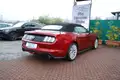 FORD Mustang 2.3 Ecoboost Convertibile Manuale - Navigatore