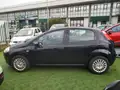 FIAT Punto Evo 5P 1.2 Blue Gpl Ok Neopatentati Km 96.000
