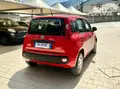 FIAT Panda 1.0 Firefly Hybrid 70Cv S&S Ufficiale Fiat
