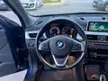 BMW X1 X1 Xdrive20d Xline Auto