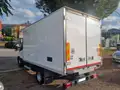 IVECO Daily 60C15 Btor 3.0 Cellla Isotermica