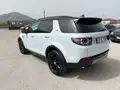 LAND ROVER Discovery Sport 2.0 Td4 Hse Luxury Awd 180Cv Auto