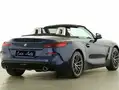 BMW Z4 Sdrive20i Advanced (Varie Disponibilita')