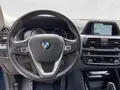 BMW X3 Xdrive20d Business Advantage 190Cv Auto